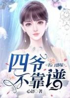 名门盛婚终结