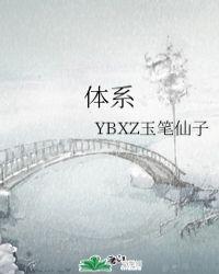 体系是什么意思