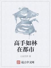 无懈可击之高手如林第30集