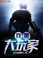 我是大玩家txt精校版