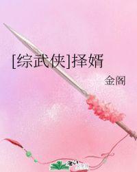 综武侠择婿 一泓月