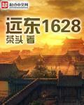 远东1628地图