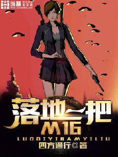 落地一把m16a4