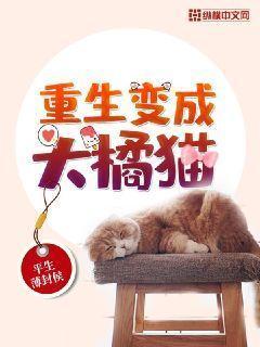 我变成了橘猫全集