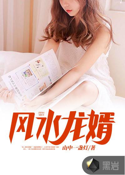 风水龙婿叶辰李子柴