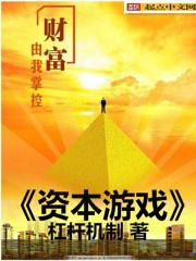 资本的游戏 pdf