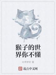 猴子的解说