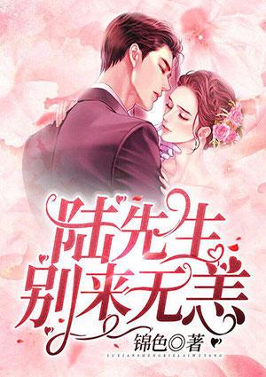 闪婚契约陆先生