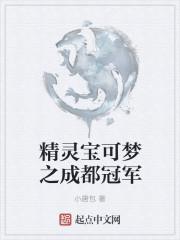 精灵宝可梦成都四天王