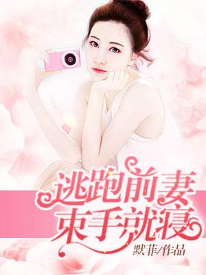 逃婚前妻请入局