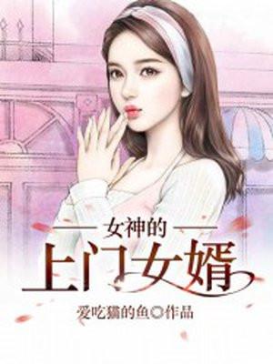 女神的上门女婿全文免费赵旭阅读完整版6688