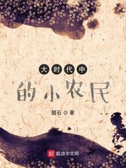 大时代中的小农民结局