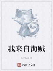 我从海贼王归来