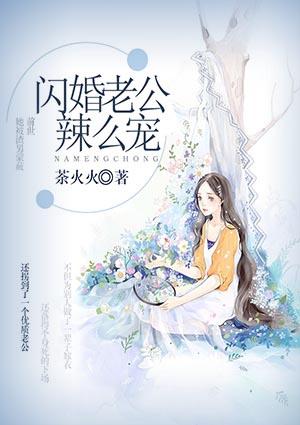 闪婚老公宠不休