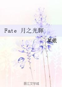 光辉之路fate