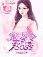 宠妻令boss借个婚全文免费阅读