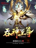 秦沉吞神至尊笔趣阁