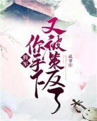 将军手下留情目录