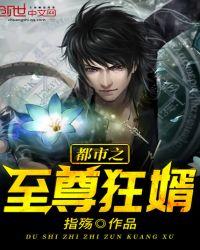 都市之至尊狂婿孙宇