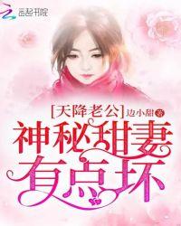 闪婚天降神秘老公免费