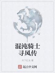 混沌骑士动画片