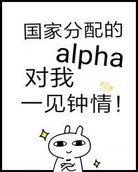 国家分配的alpha对我一见钟情虐吗