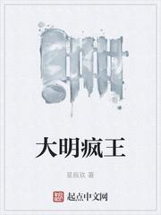 大明疯王txt