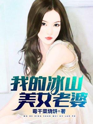 我的冰山美女老婆渡河是什么