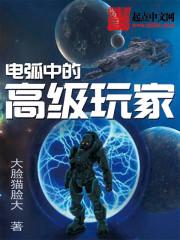 电弧中的高级玩家epub