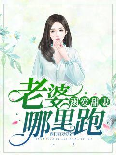 溺宠小媳妇