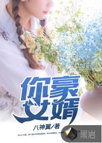 电视剧隐豪女婿