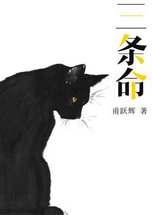 十三条命大师做了什么