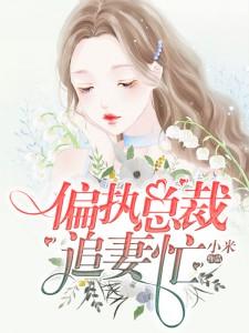 偏执霸总追妻忙