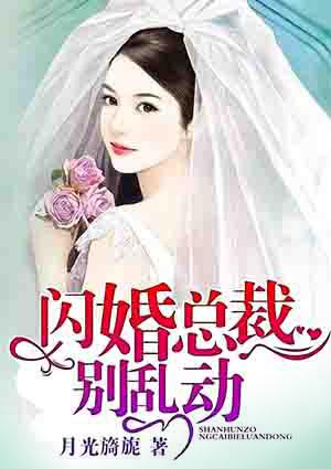 闪婚老公别乱来免费阅读