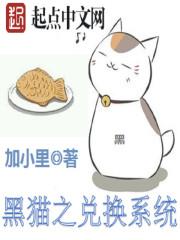 黑猫同城系统