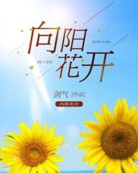 向阳花开不负韶华