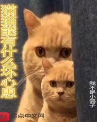 猫咪能有什么坏心思