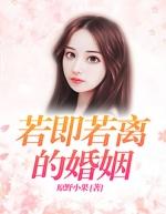 若即若离的婚姻31集