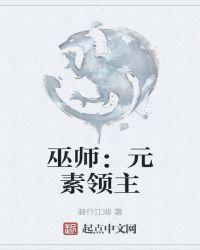 巫师元素领主123