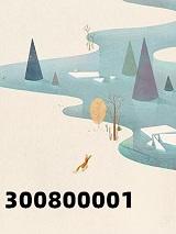 300800001762