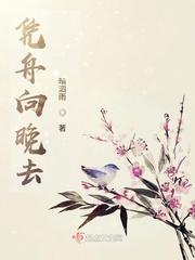 清舟向晚作品集