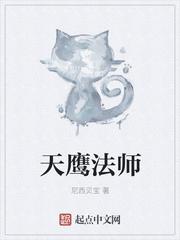 全职法师天鹰级别