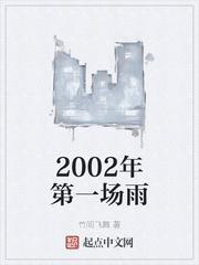 2002年的第一场