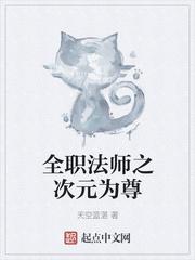 全职法师之次元为尊 第1章 开学