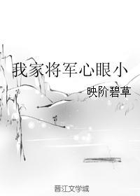 缺心眼和他的将军