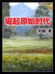 从原始时代到科技时代的游戏