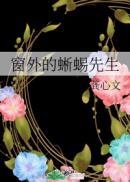 窗外的蜥蜴先生txt全文