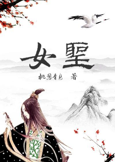 女圣骑士加什么属性