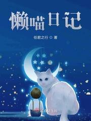 猫懒日志