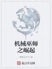 机械巫师之崛起(邵己亥)_